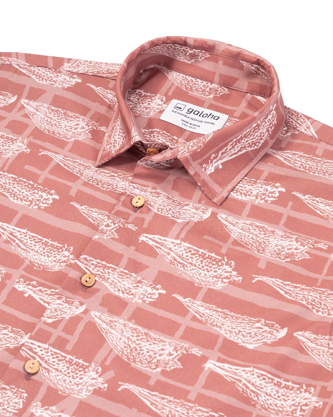 CONGRIO - Camisa Galoha