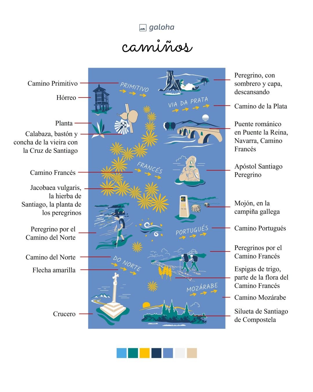 CAMIÑOS Blue - Galoha Shirt