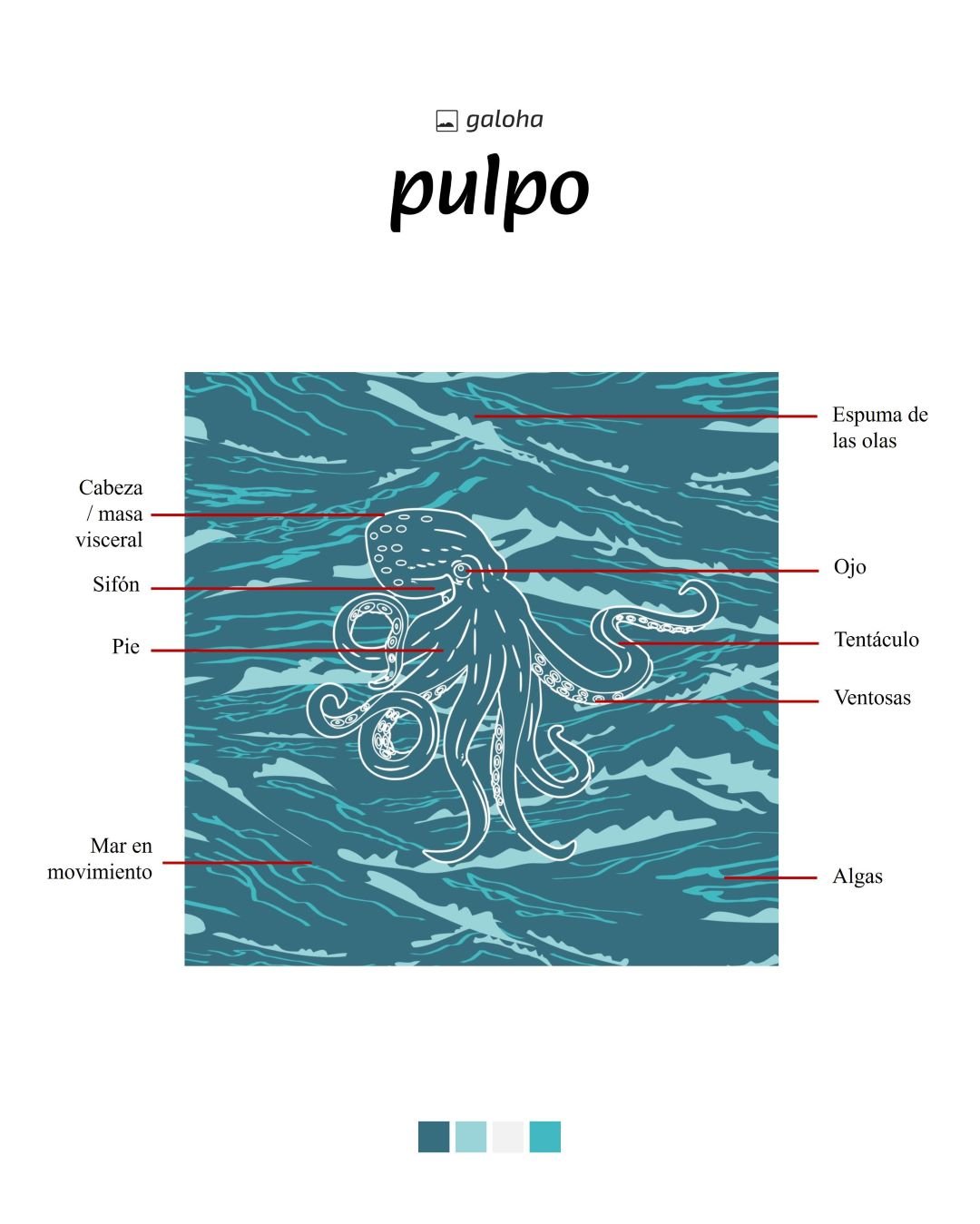 PULPO - Camisa Galoha