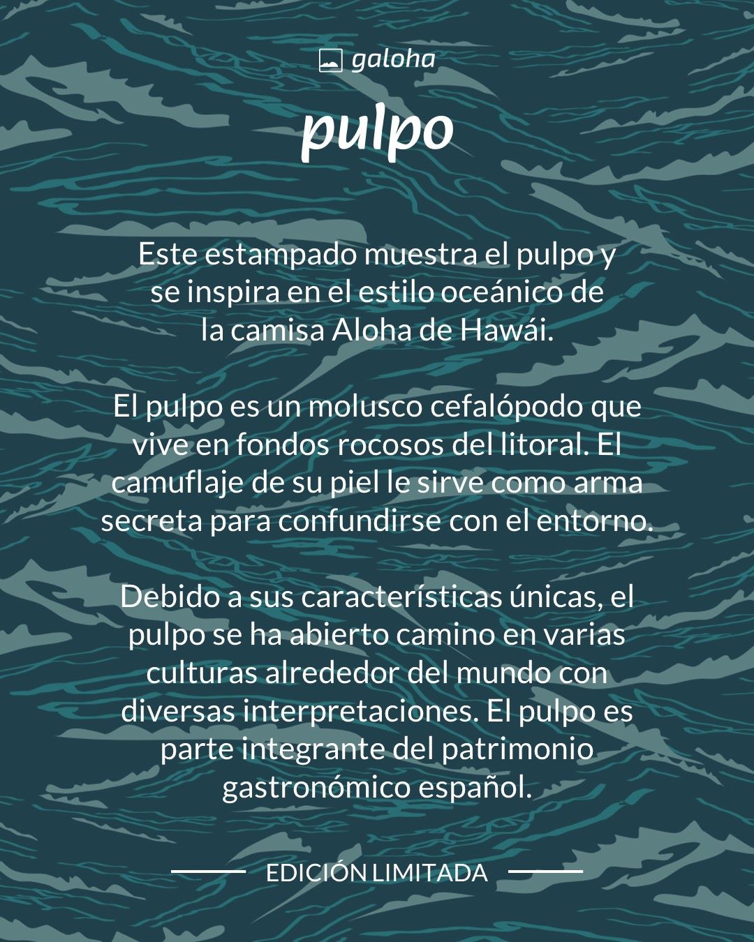 PULPO - Camisa Galoha