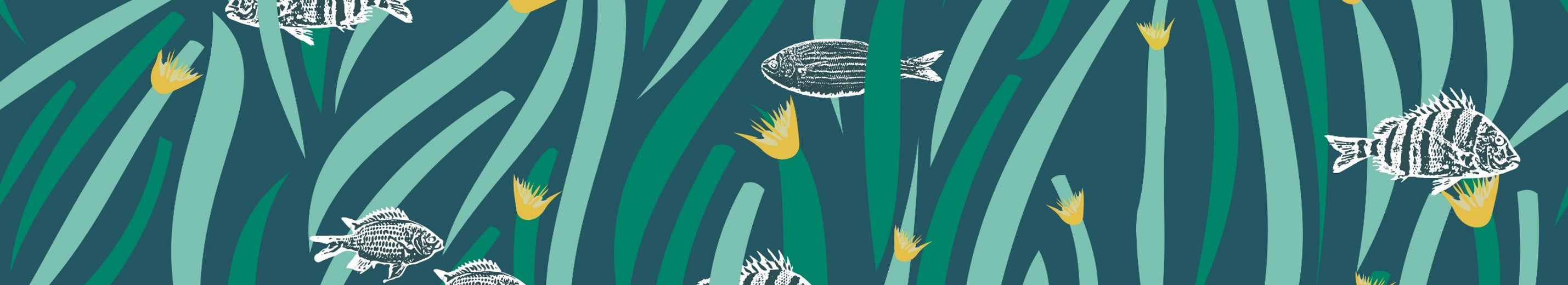 POSIDONIA