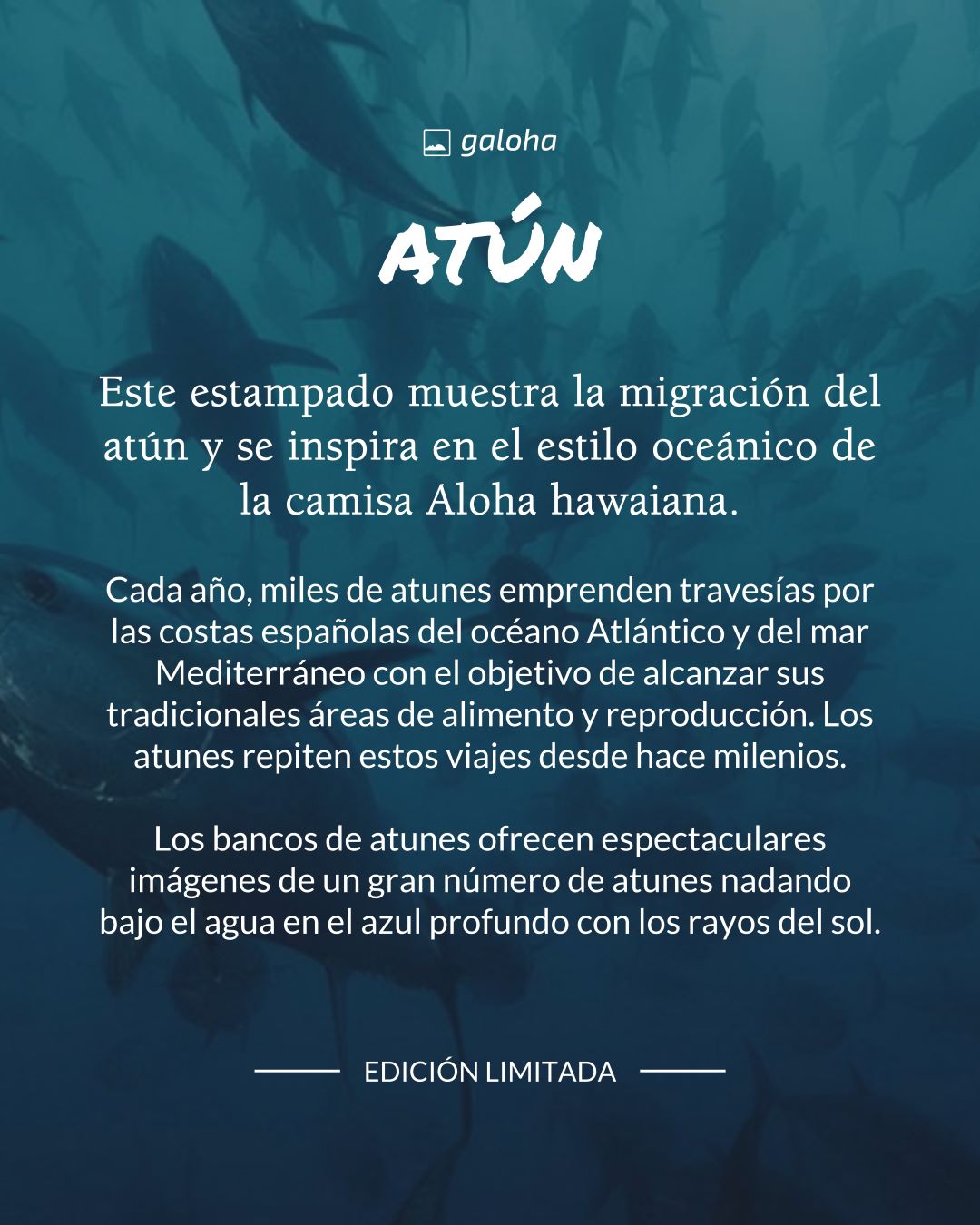 ATÚN - Camisa Bowling Galoha