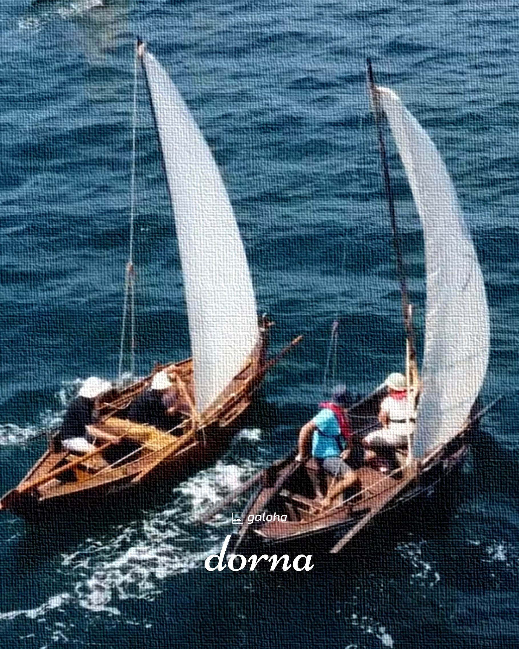 DORNA - Camisa Mujer Galoha