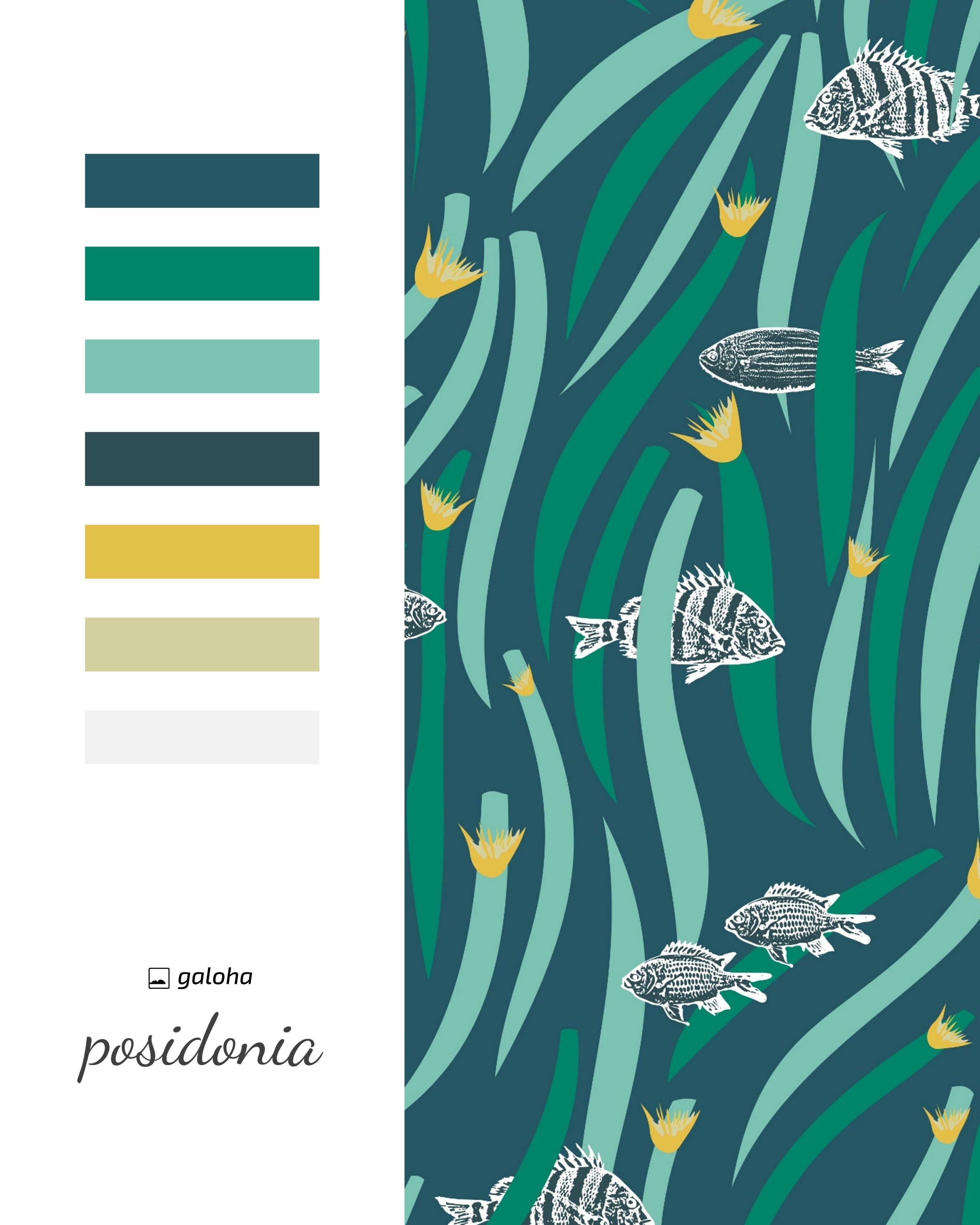 POSIDONIA - Camisa Mujer Galoha