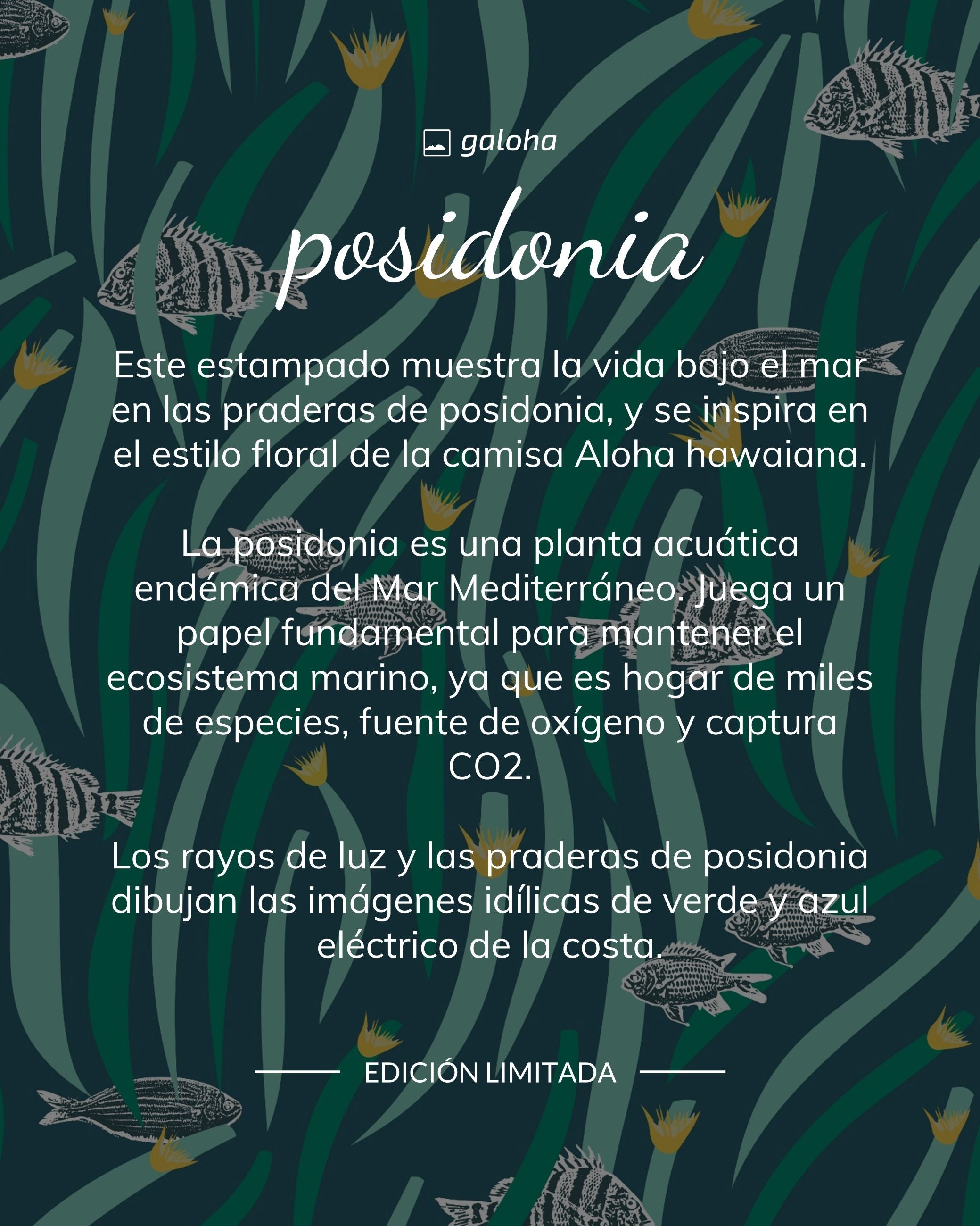 POSIDONIA - Camisa Mujer Galoha