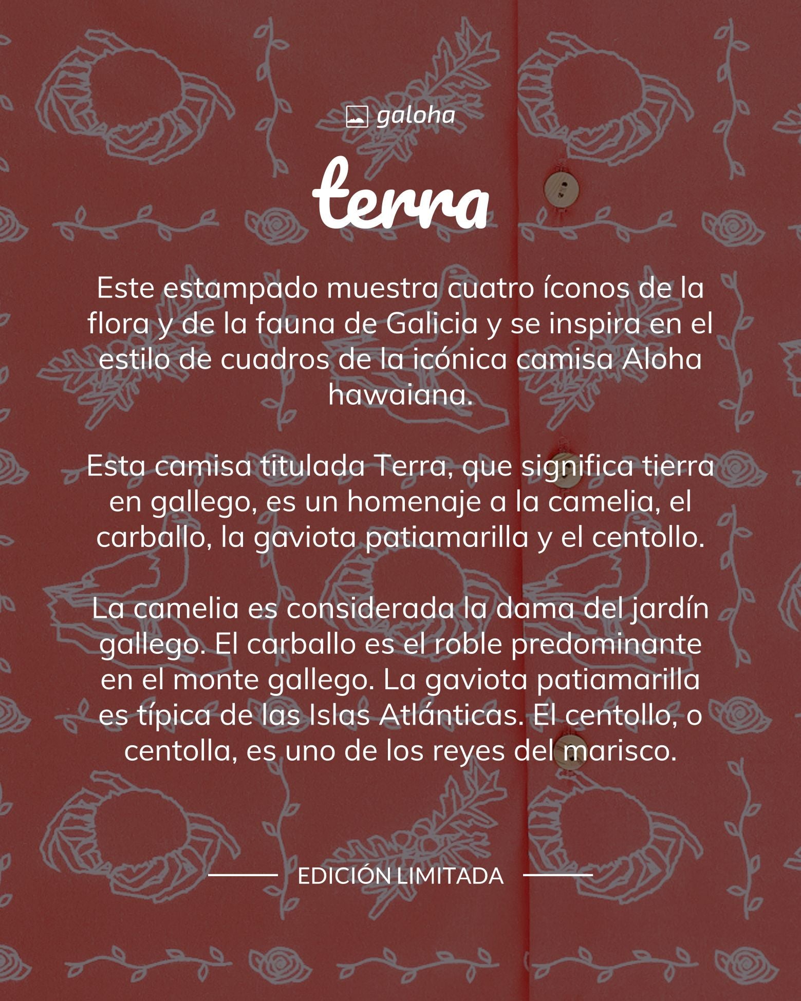 TERRA - Camisa Mujer Galoha
