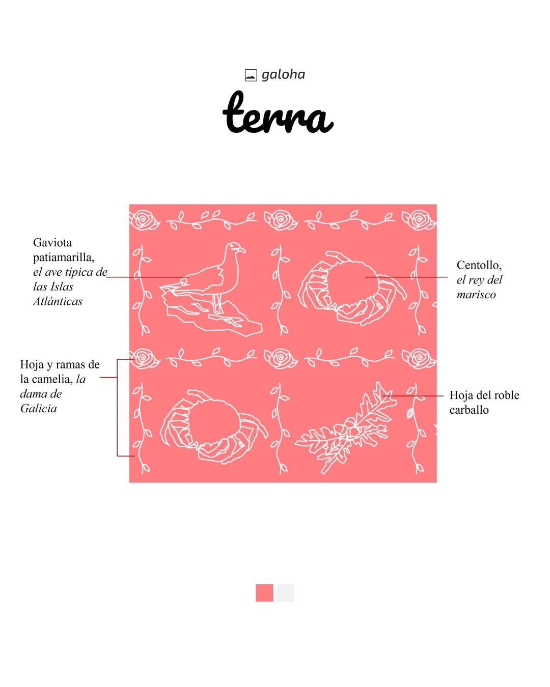 TERRA - Camisa Galoha