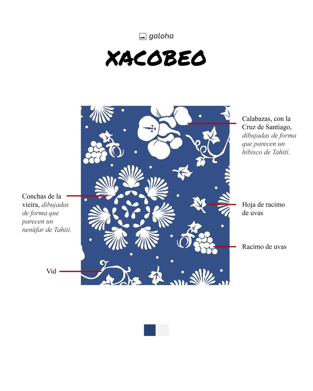 XACOBEO Azul - Camisa Galoha